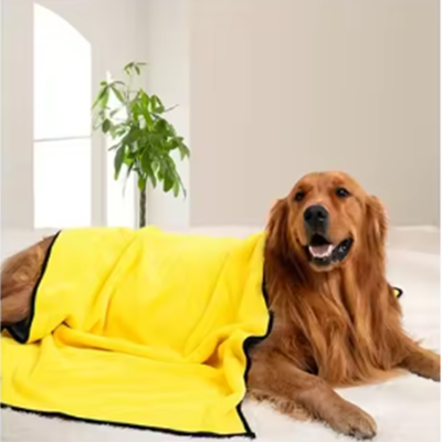 Golden retriever resting in a yellow towel