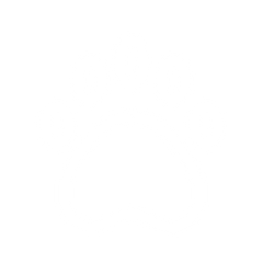 Pet engagement icon