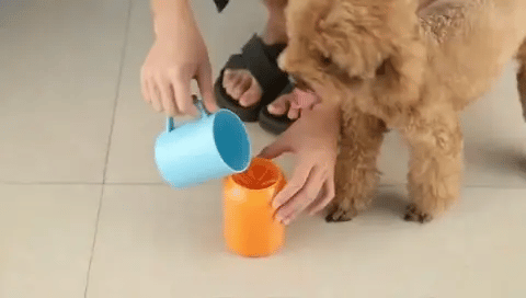 Clean water being added to a silicone dog paw cleaner cup