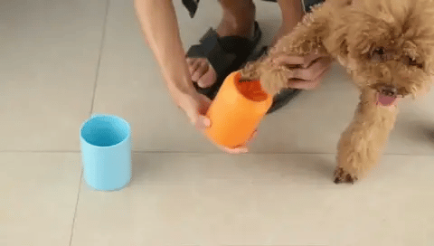 Dog paw being cleaned gently inside a silicone paw cleaner cup